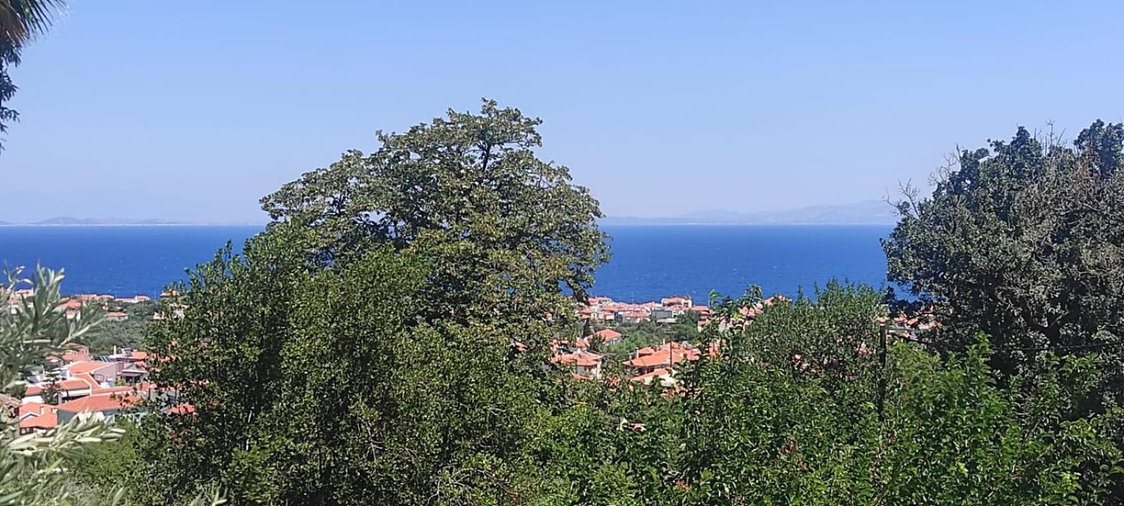Studios Akrotiri Mytilene ภายนอก รูปภาพ